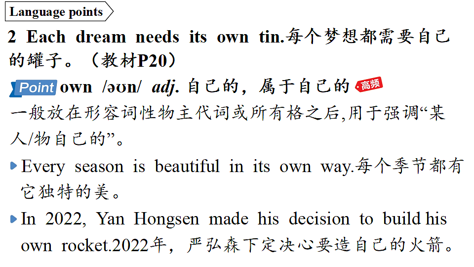 1.Understanding ideas第4页