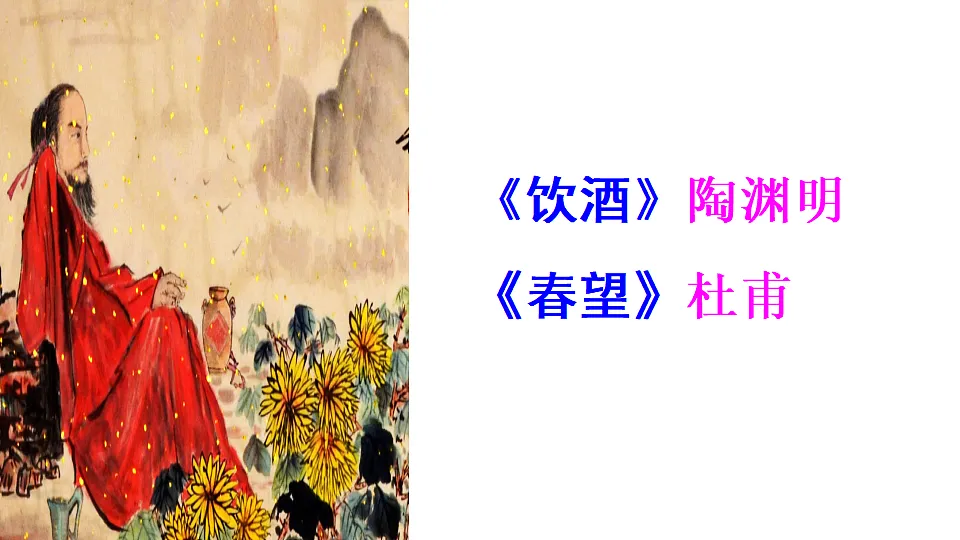 18528696第2页