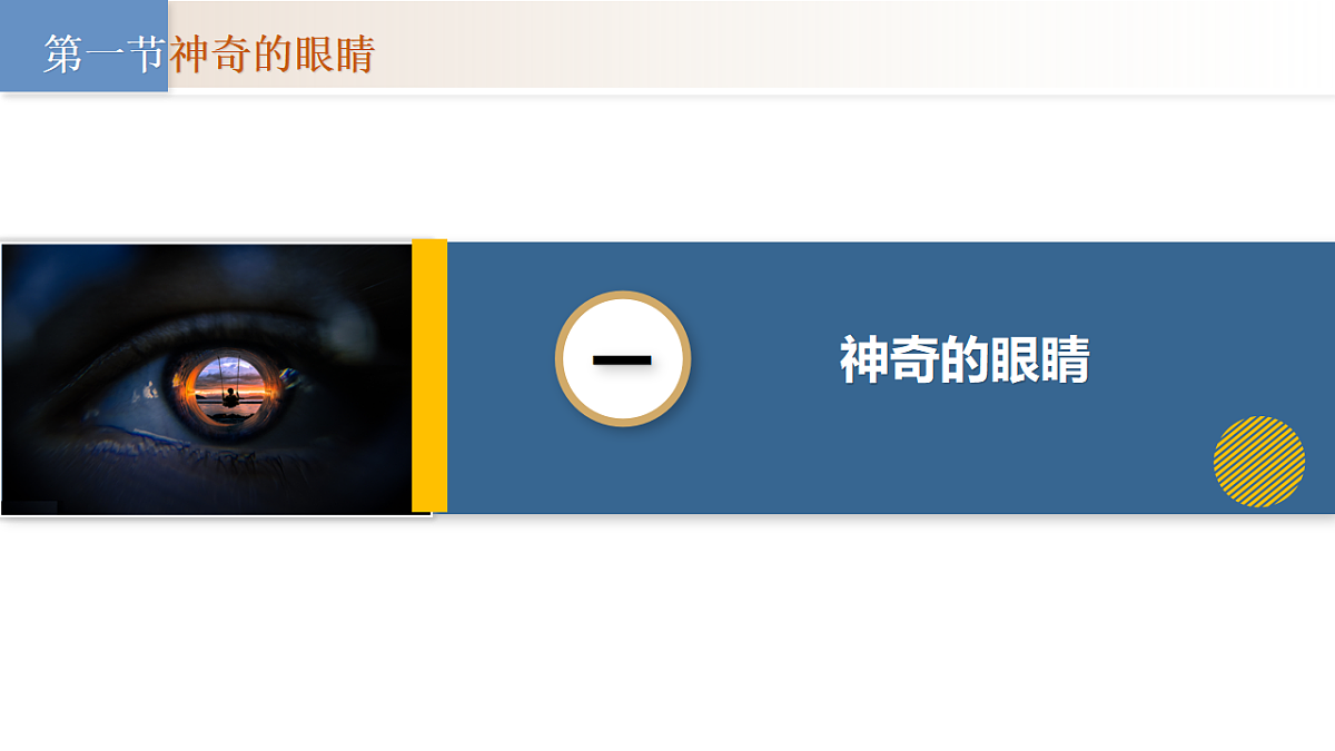 18528795第5页