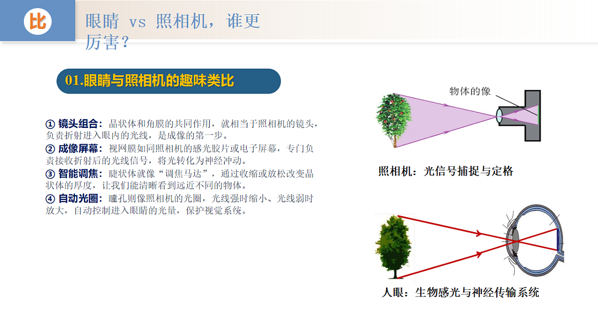 18528795第7页