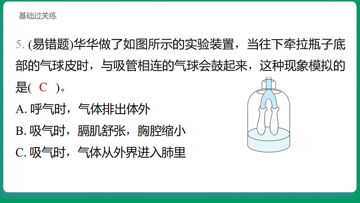 2.2 认识呼吸器官 习题课件第5页