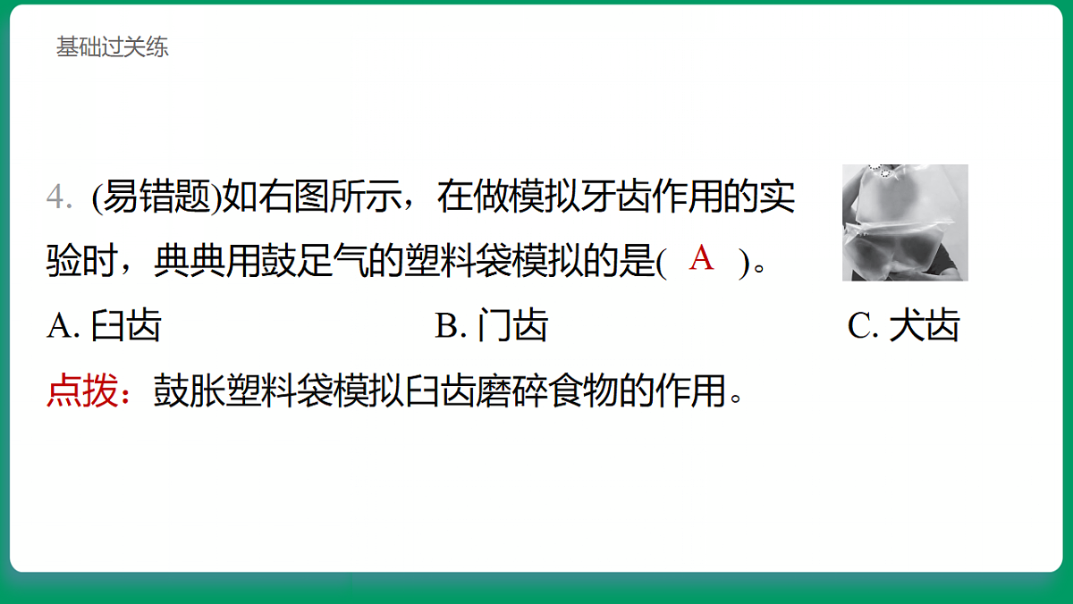 2.5 口腔里的消化 习题课件第5页