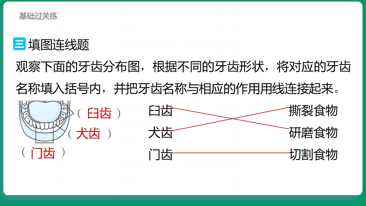 2.5 口腔里的消化 习题课件第7页