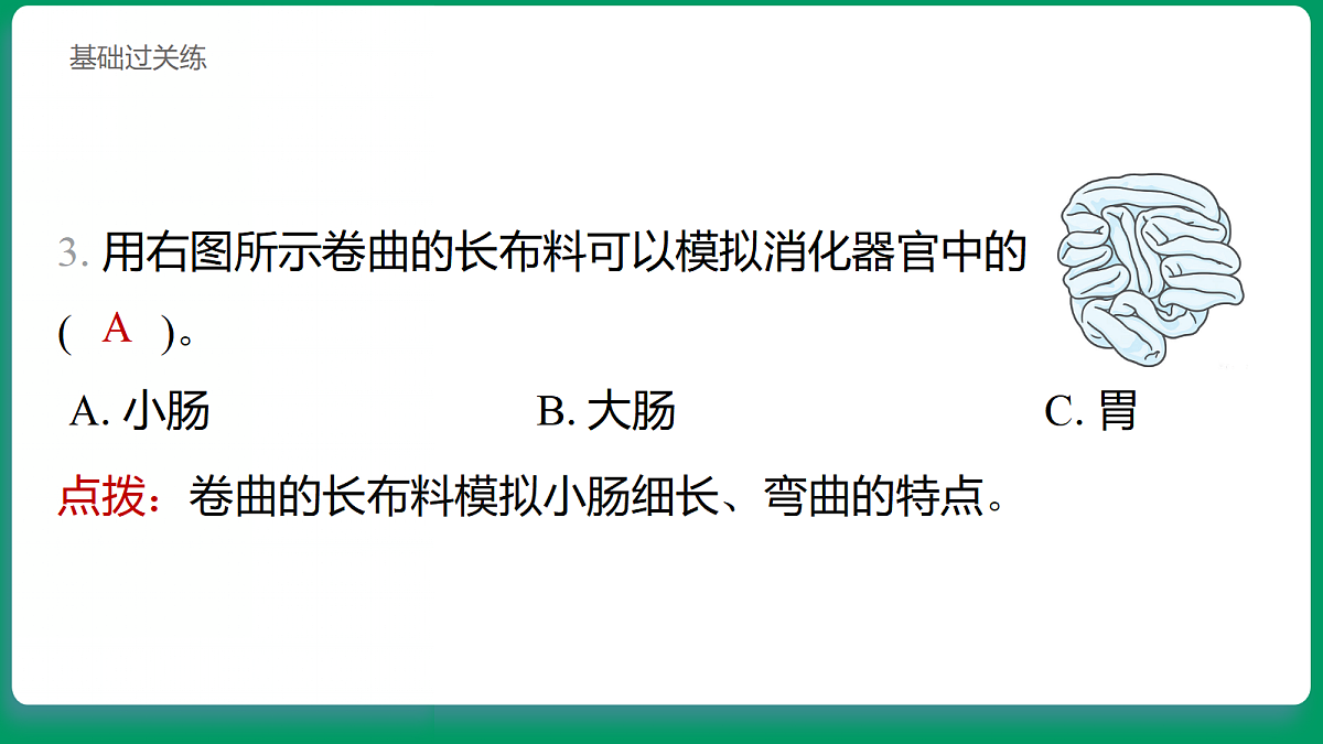 2.6 胃和小肠里的消化 习题课件第4页