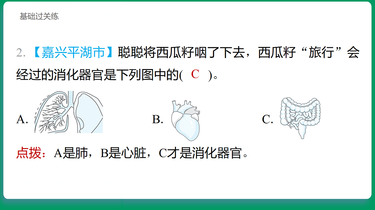 2.7 食物在身体里的旅行 习题课件第3页