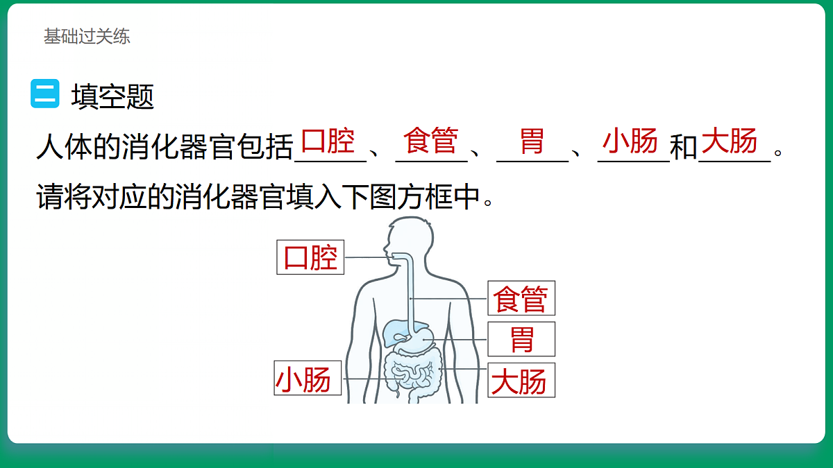 2.7 食物在身体里的旅行 习题课件第7页
