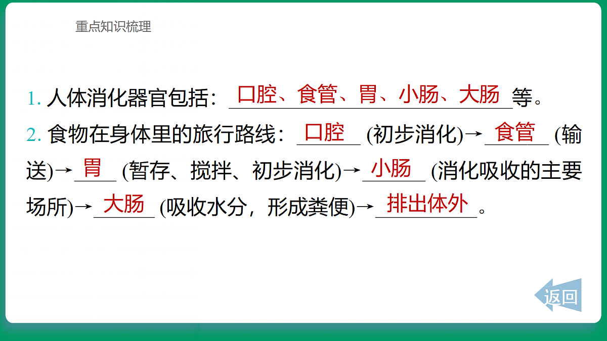 2.7 食物在身体里的旅行 课堂重点知识笔记课件第2页