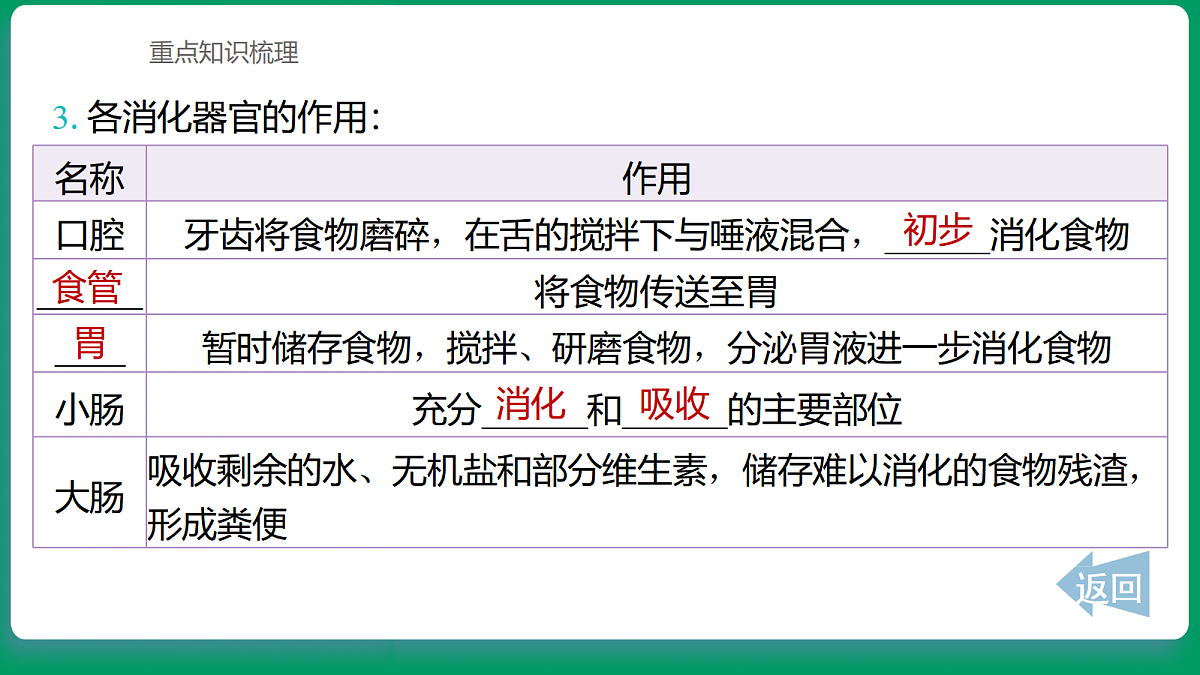 2.7 食物在身体里的旅行 课堂重点知识笔记课件第3页