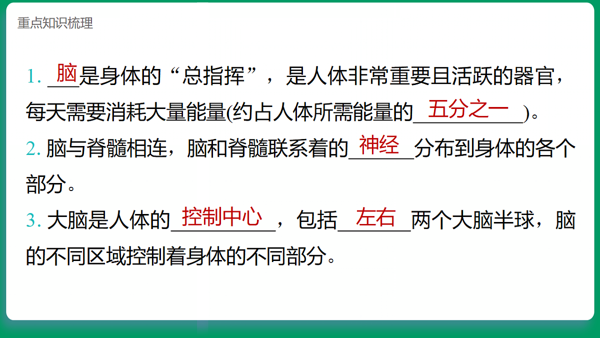1.4 身体的“总指挥” 课堂重点知识笔记课件第2页