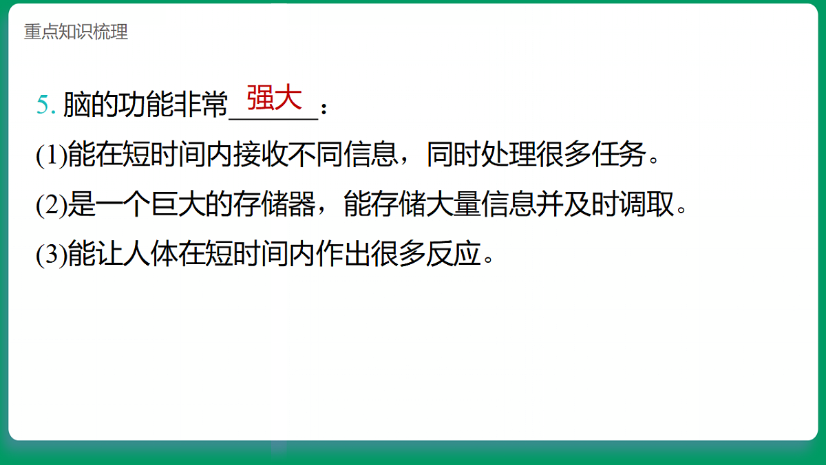 1.4 身体的“总指挥” 课堂重点知识笔记课件第4页