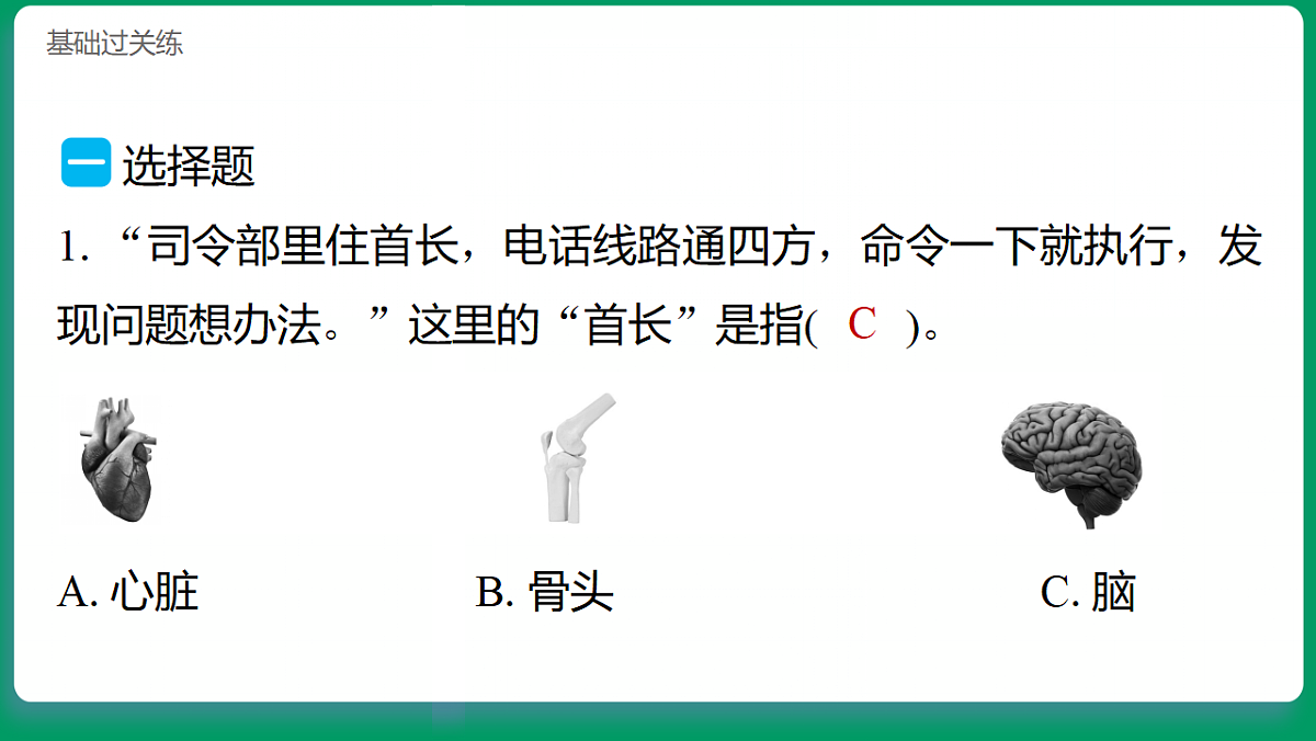 1.4身体的“总指挥” 习题课件第2页