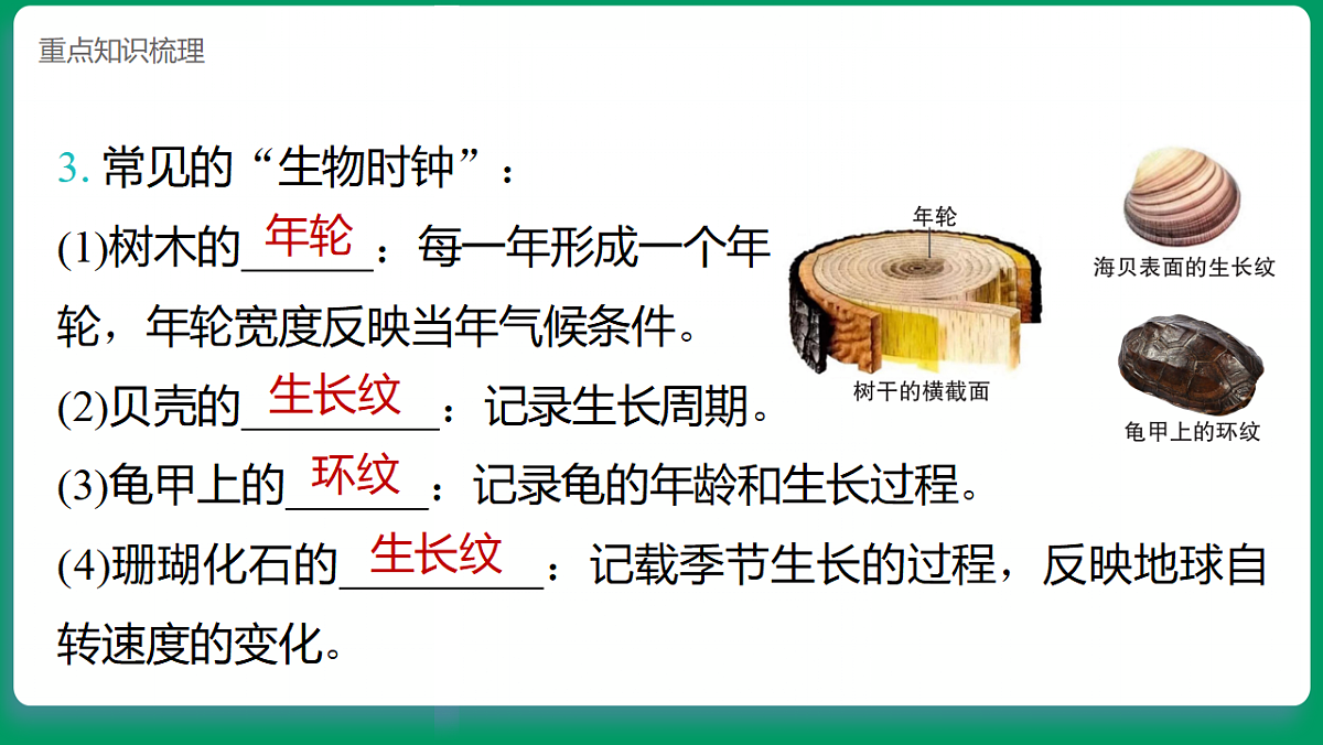 4.7时间与变化  课堂重点知识笔记课件第3页