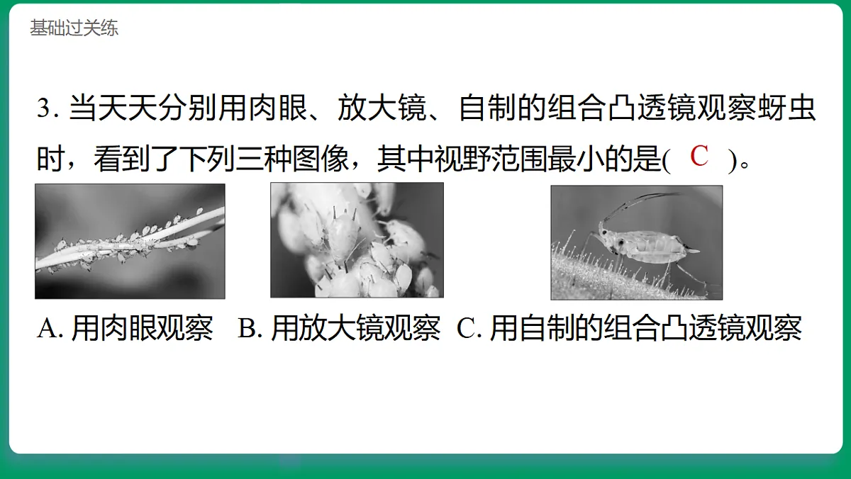 1.2怎样放得更大 习题课件第4页