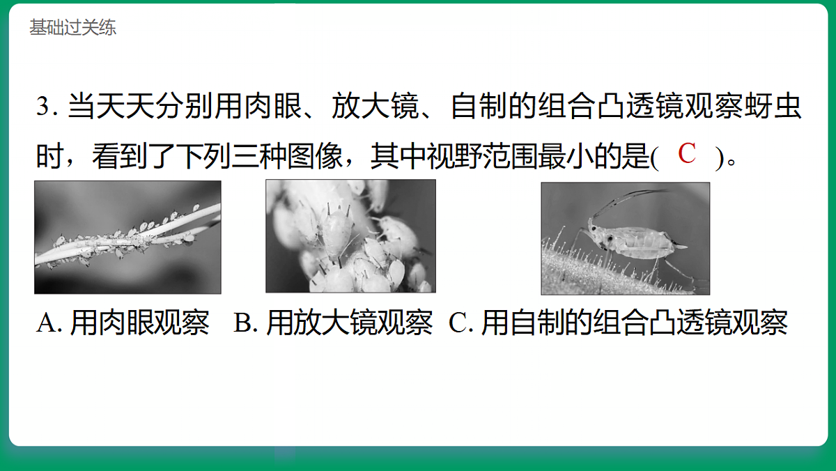 1.2怎样放得更大 习题课件第4页