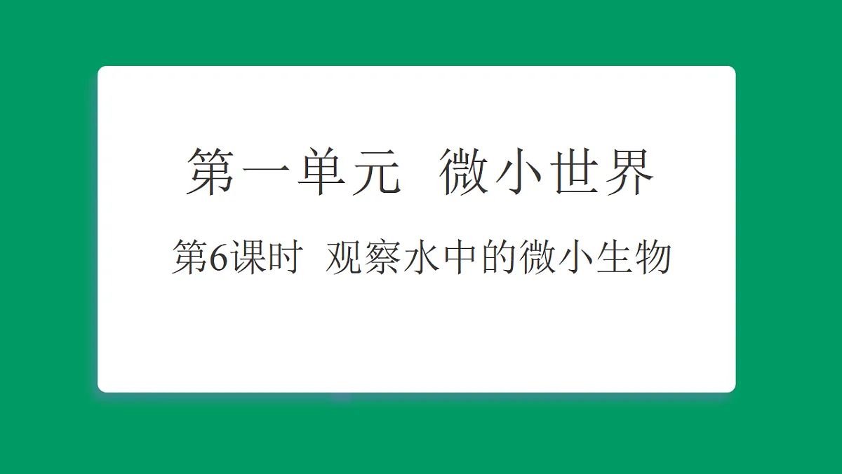 1.6观察水中的微小生物 习题课件第1页