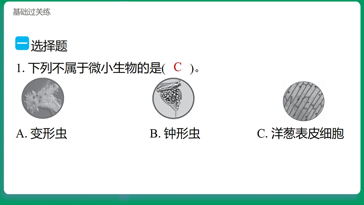 1.6观察水中的微小生物 习题课件第2页
