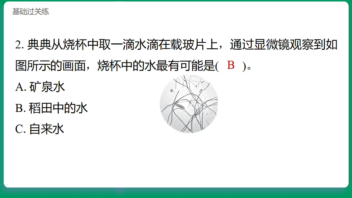 1.6观察水中的微小生物 习题课件第3页