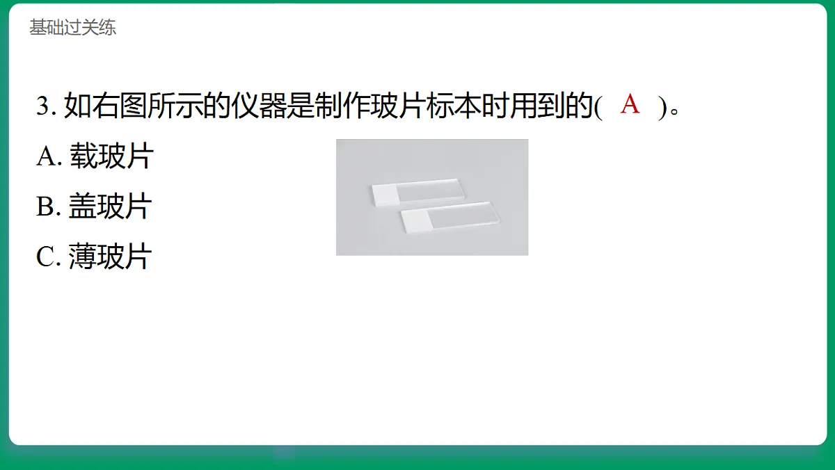1.6观察水中的微小生物 习题课件第4页