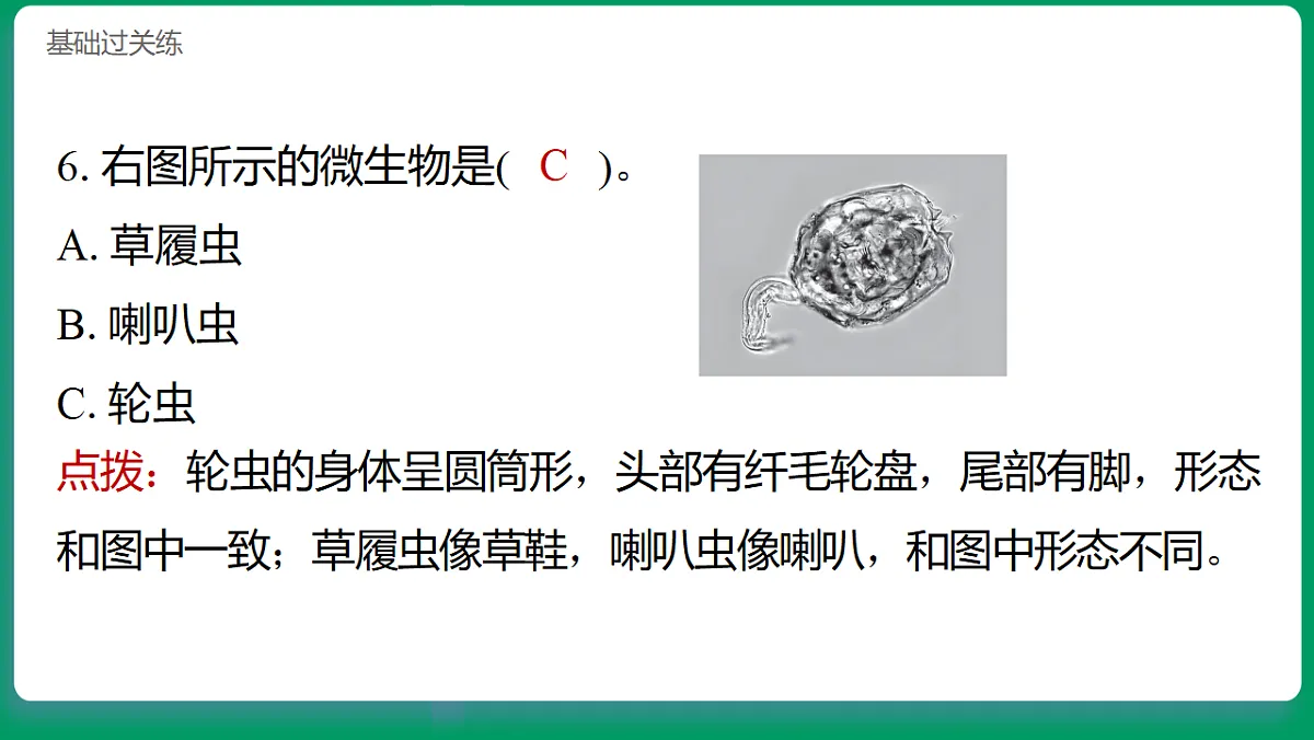 1.6观察水中的微小生物 习题课件第7页