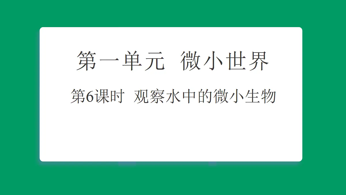 1.6观察水中的微小生物 课堂重点知识笔记课件第1页