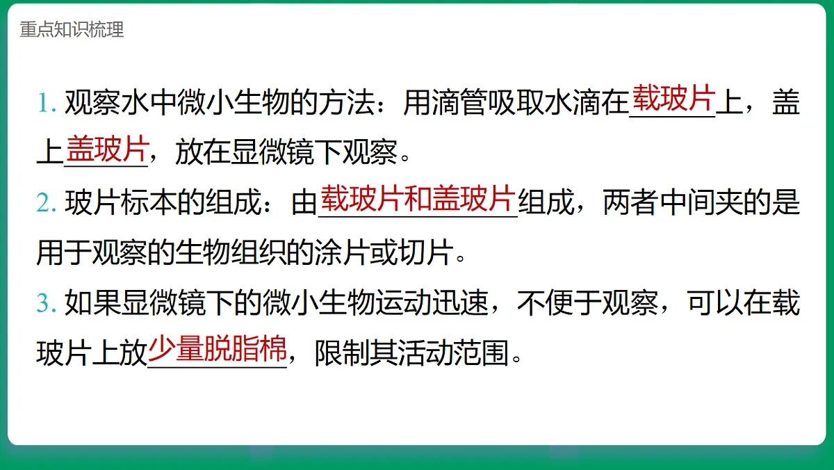 1.6观察水中的微小生物 课堂重点知识笔记课件第2页