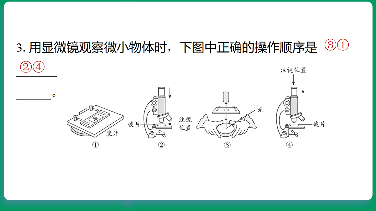18533123第5页