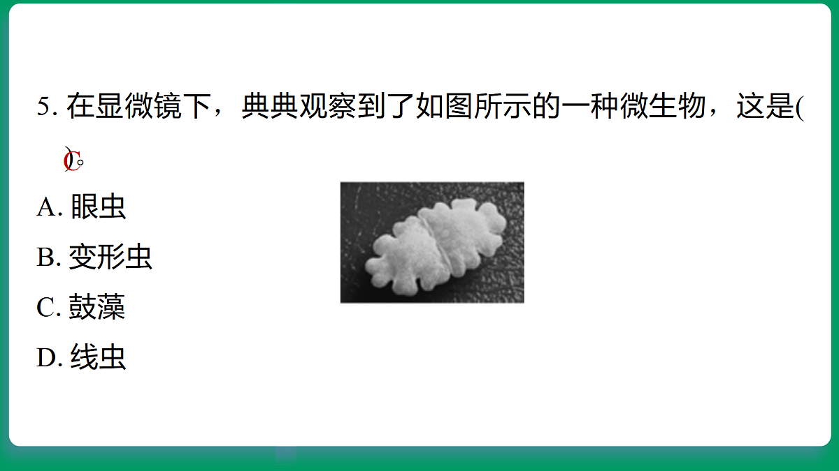 18533123第7页
