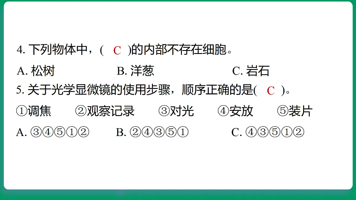 18533259第5页