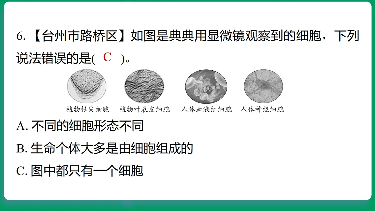 18533259第6页