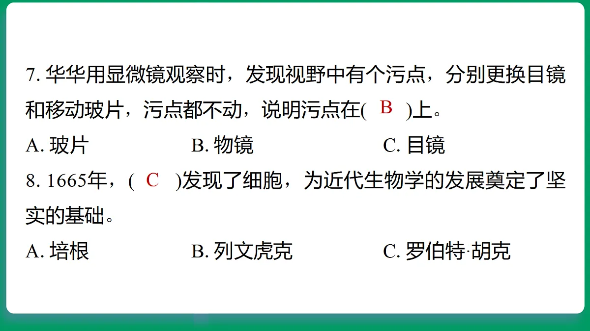 18533259第7页