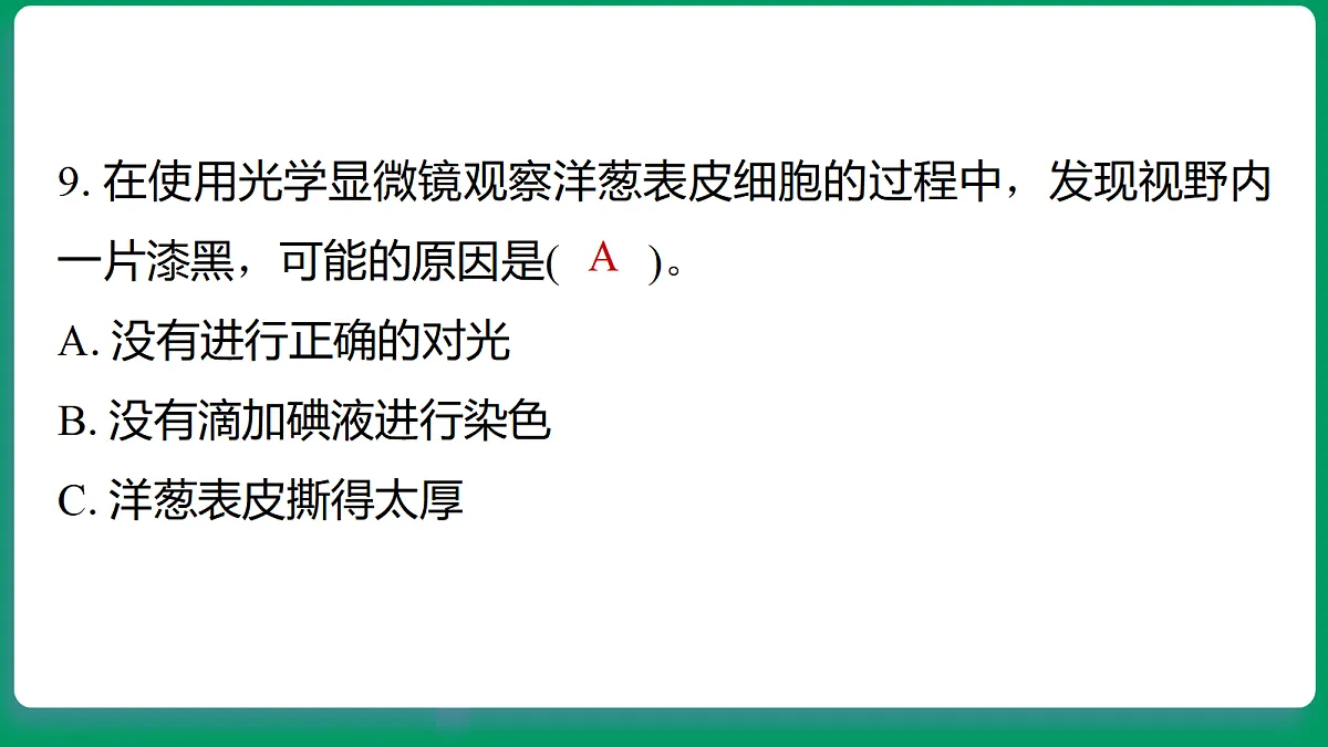 18533259第8页
