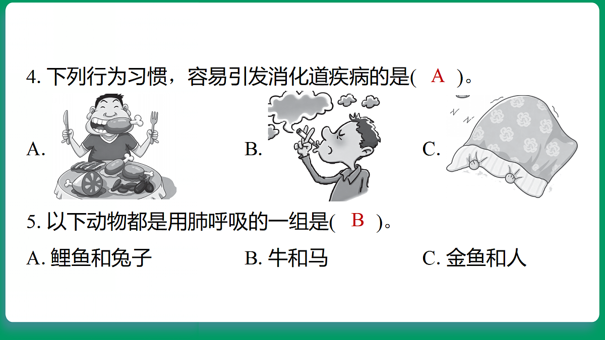 18533314第5页