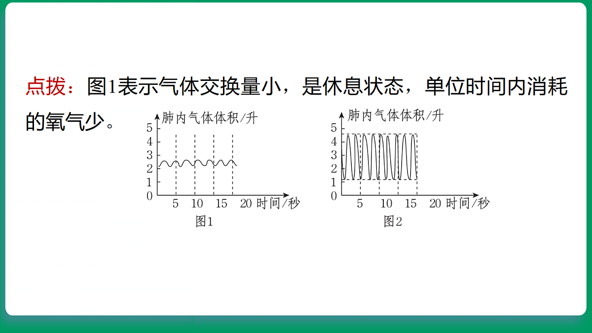 18533314第7页