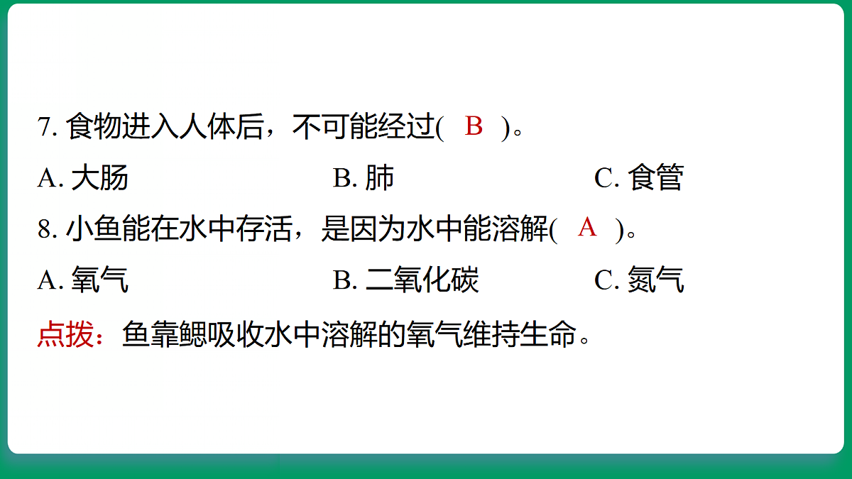18533314第8页