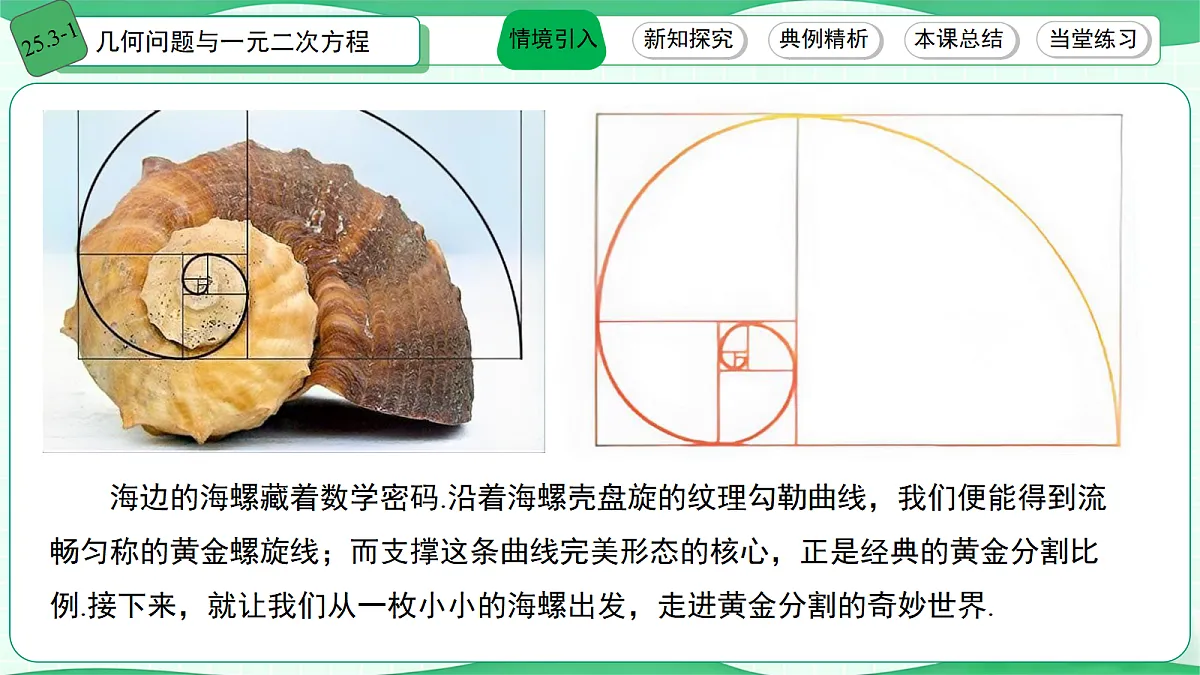 18533705第2页