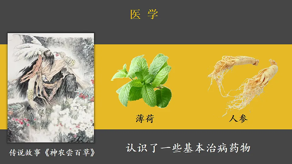 18534276第5页