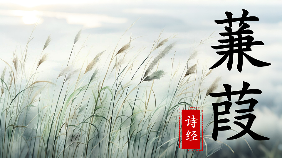 18542185第2页