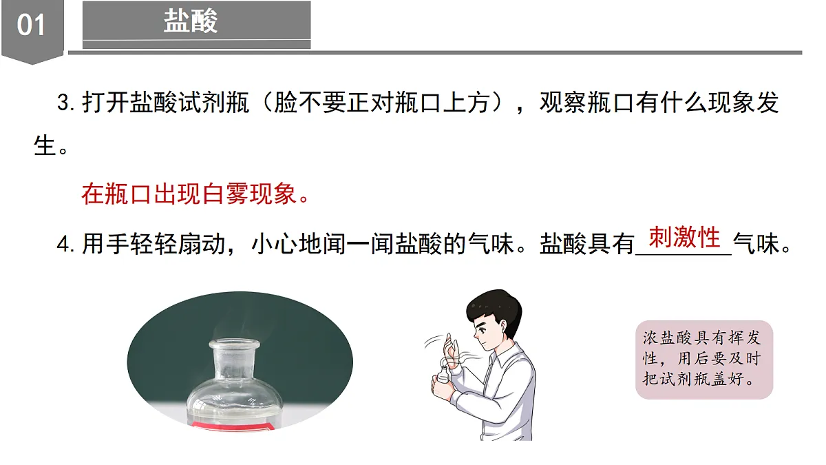 18543888第8页