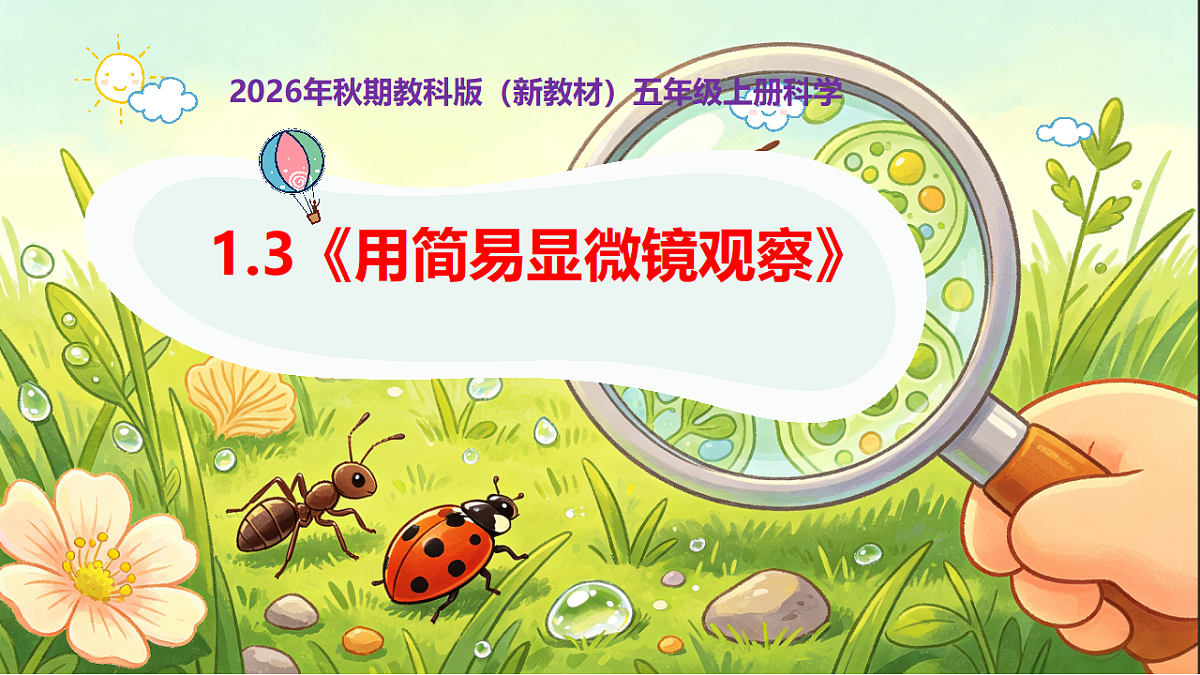 18546503第1页