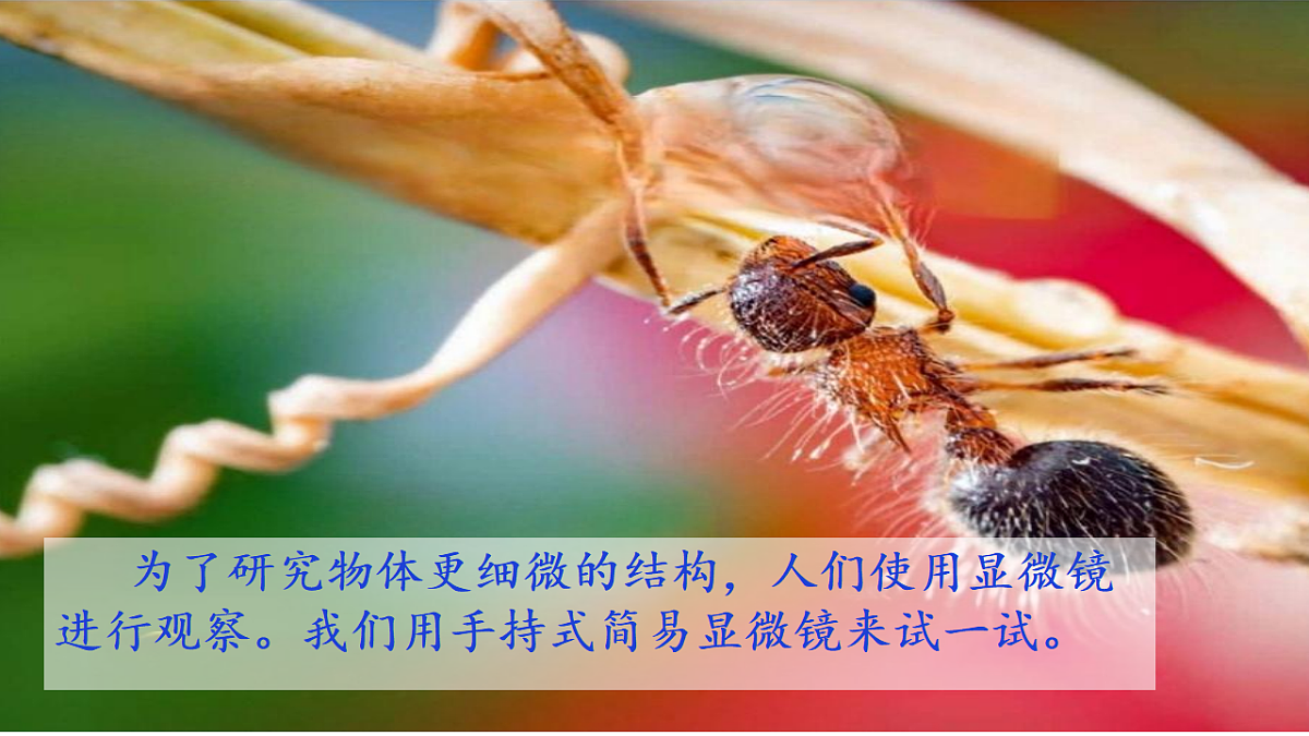 18546503第2页