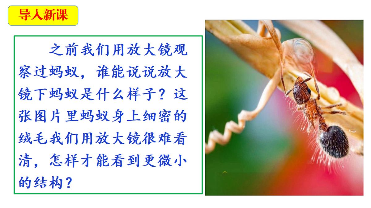18546503第3页