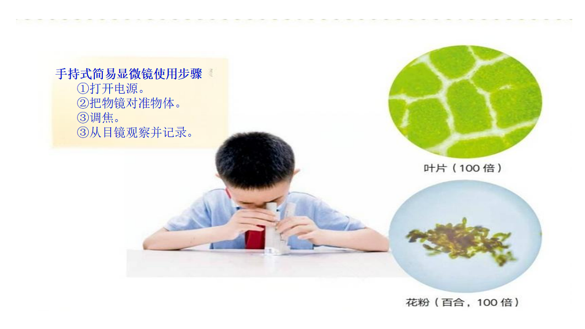 18546503第6页