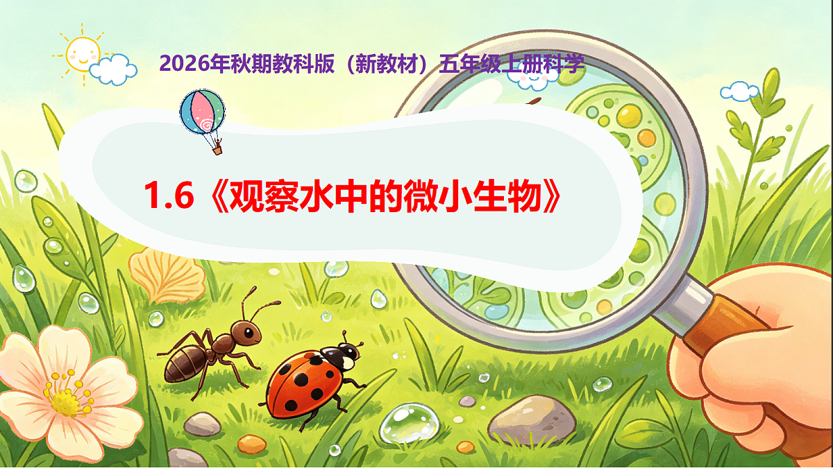 18546512第1页