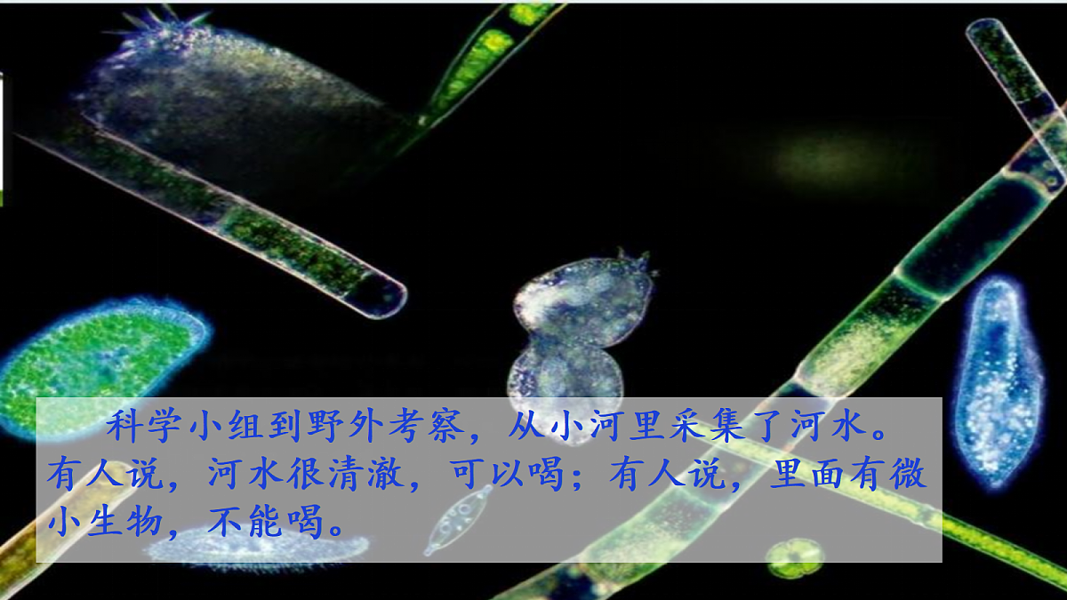18546512第2页