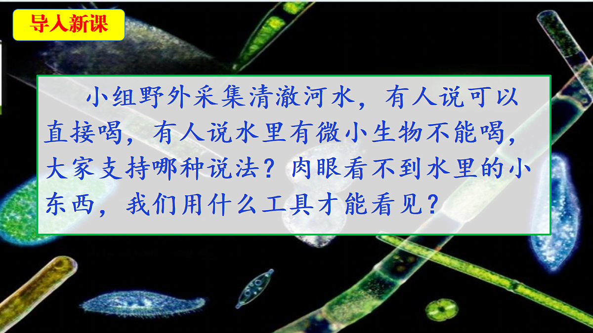 18546512第4页