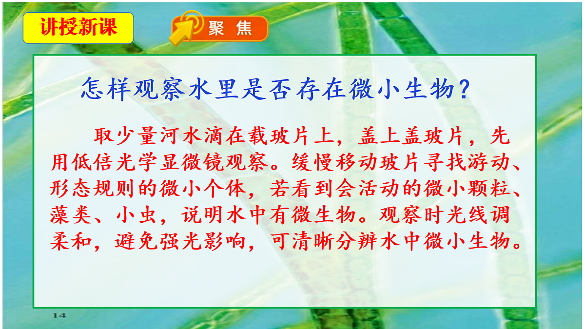 18546512第5页