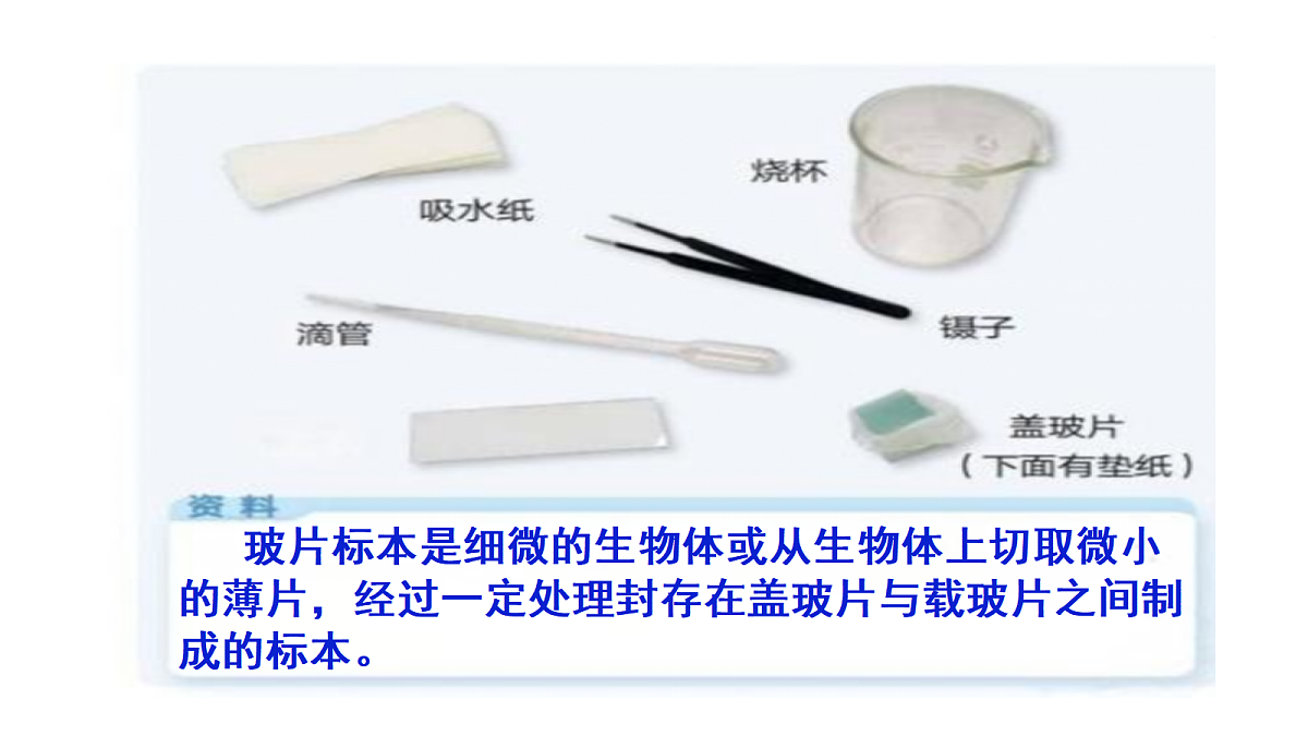 18546512第8页