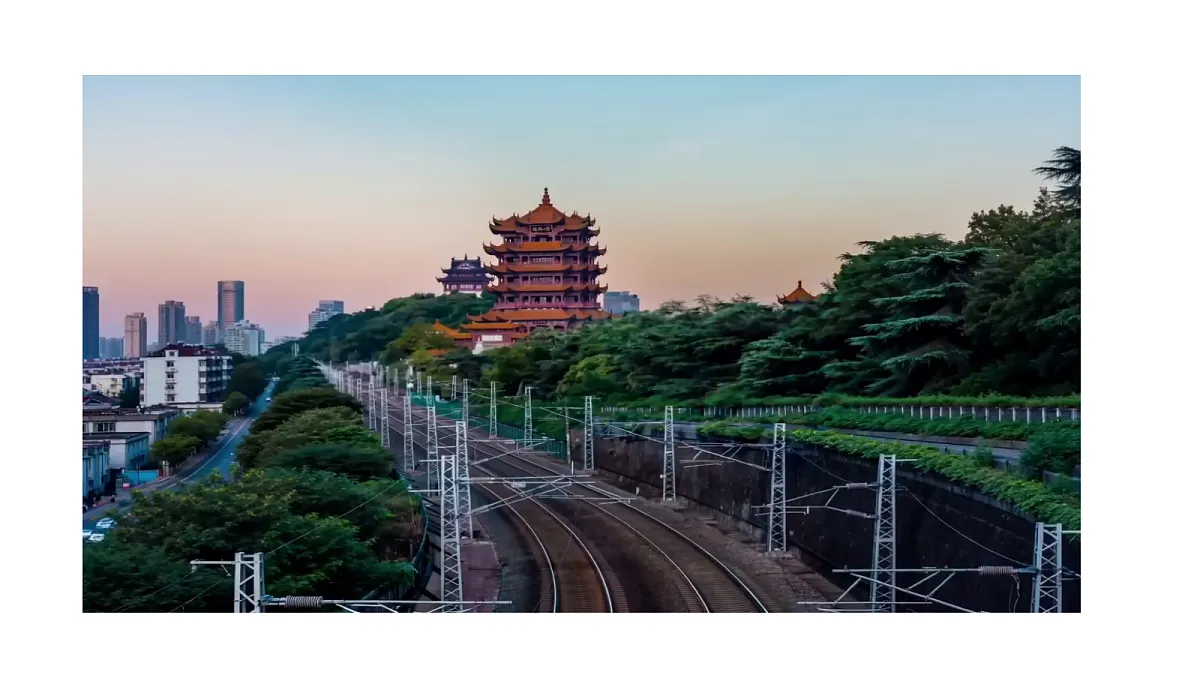 18546518第3页