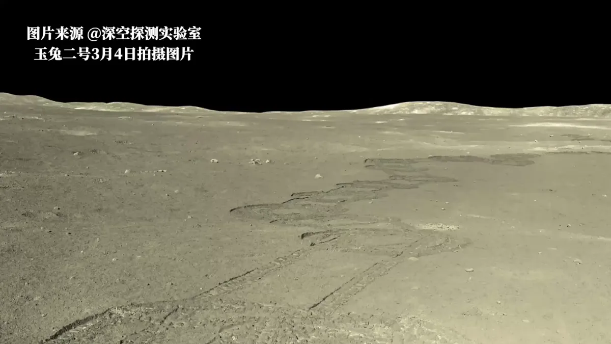 18546554第3页
