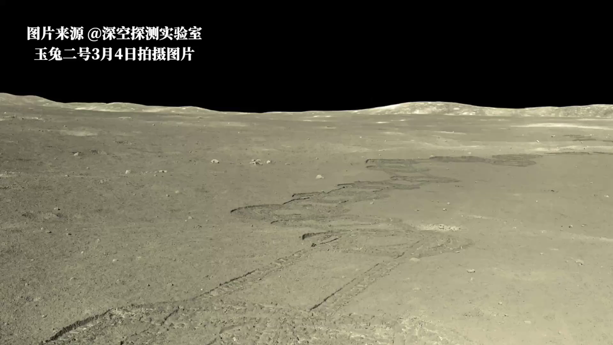 18546554第3页